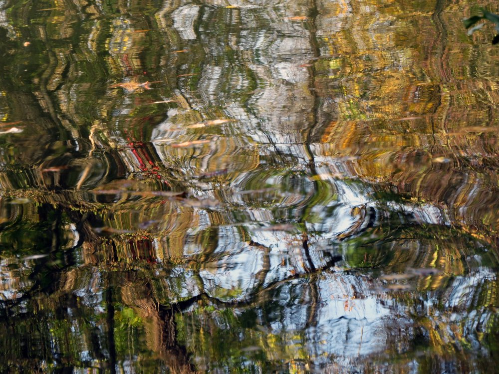 Фотография автора Katica Pecigoš-Kljuković