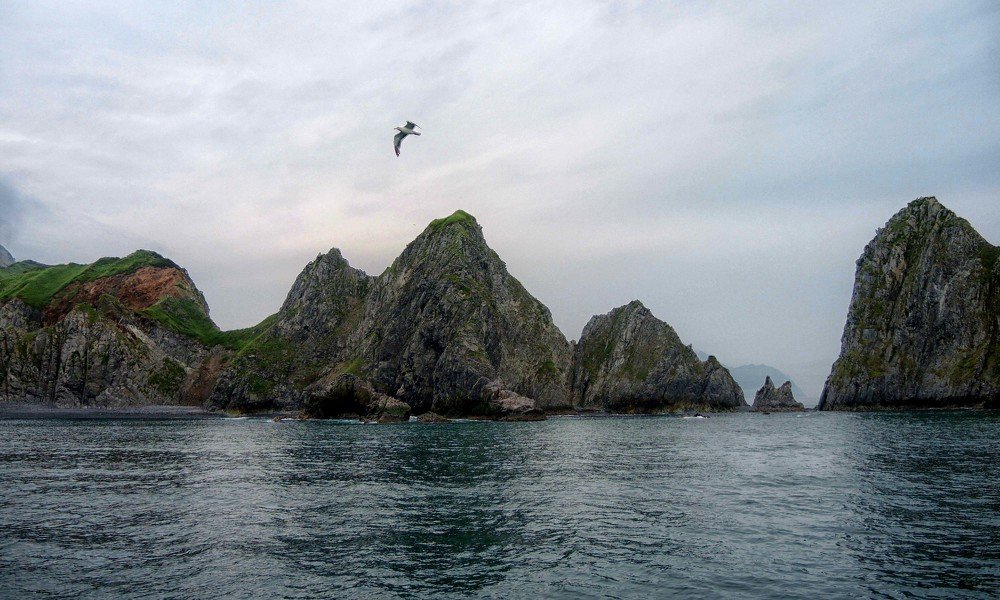 Photograph by София Гавриловна Вотякова