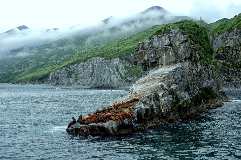 Photograph by София Гавриловна Вотякова