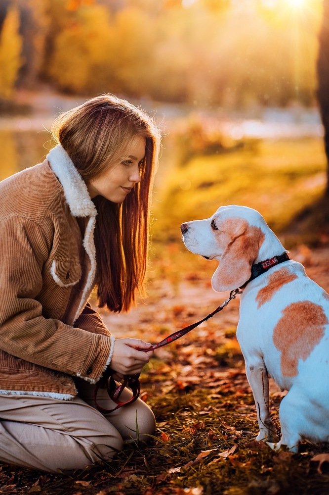 Photograph by елена корчагина