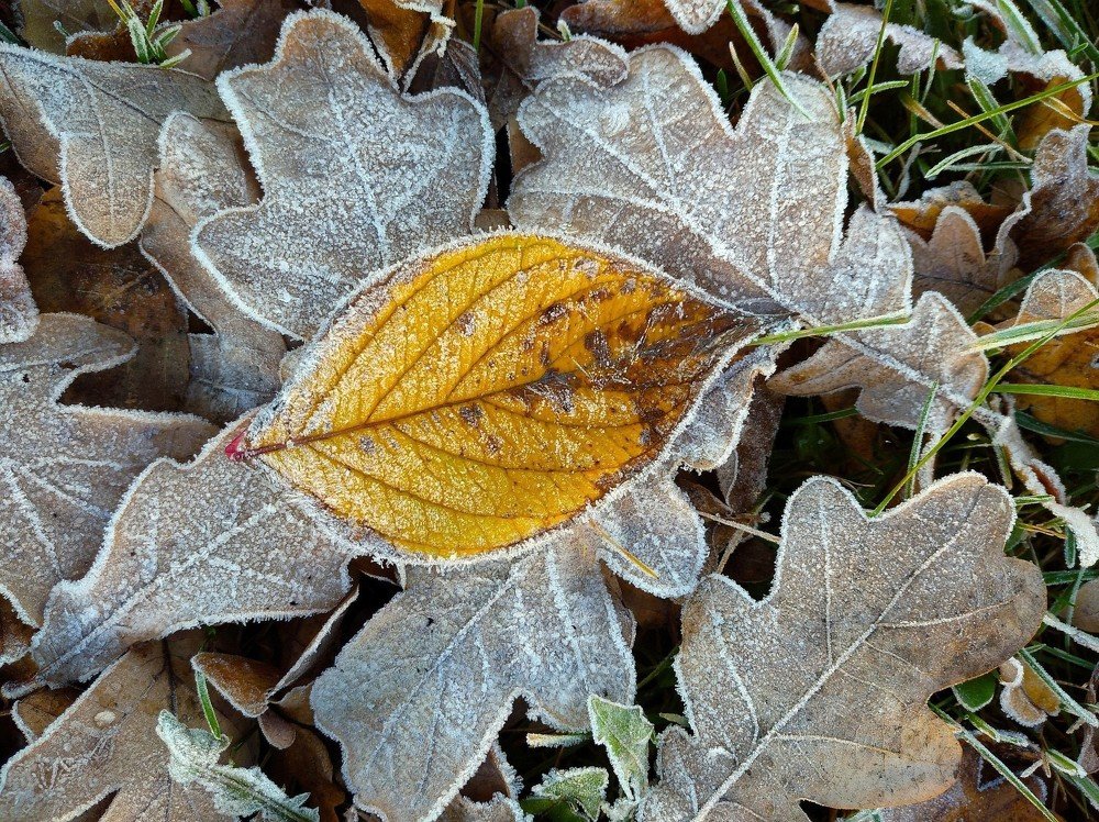 Photograph by Юрий Яковлев