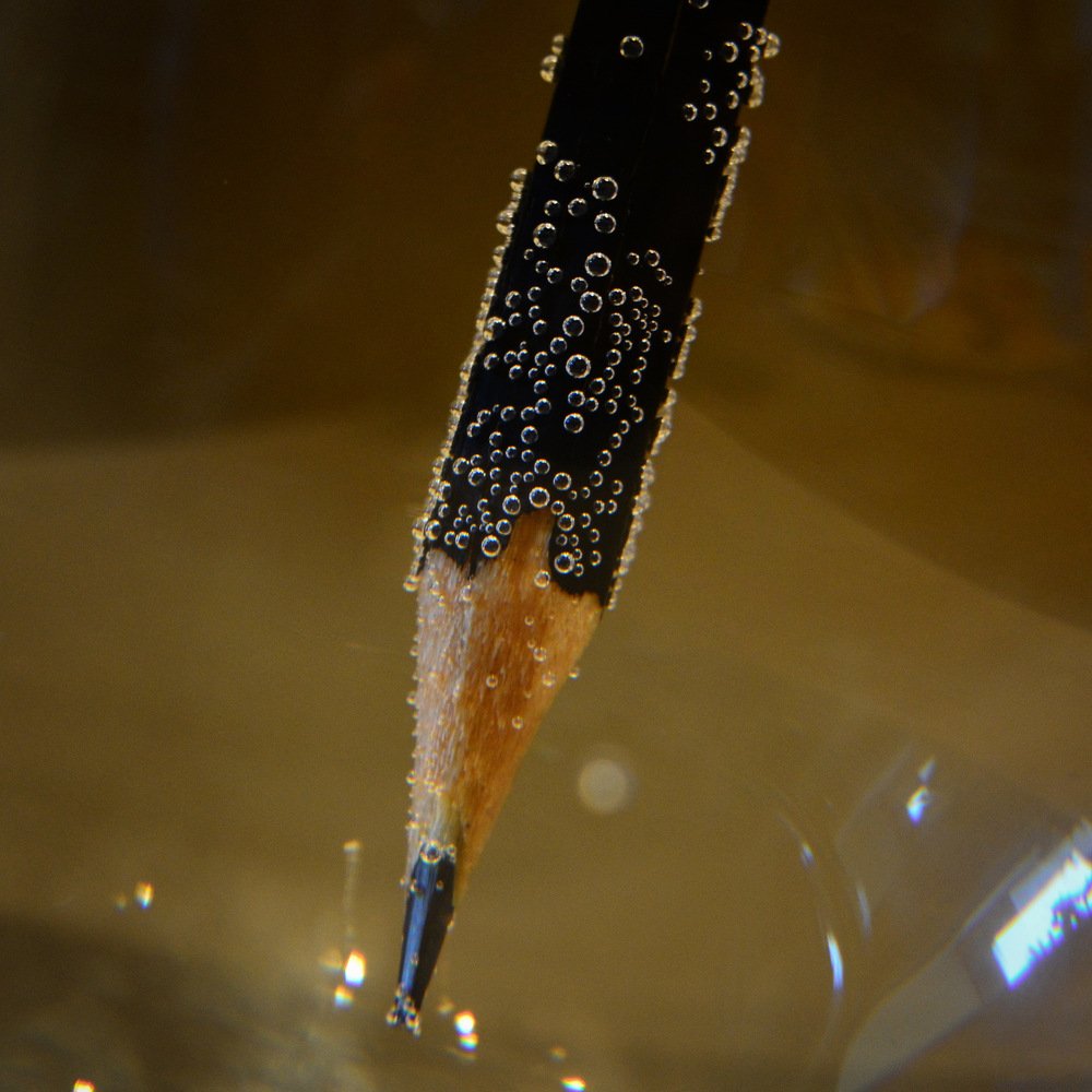 Photograph by Kristina Ter-Hovhannisyan