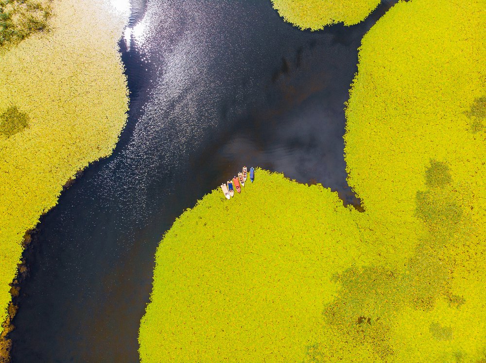 Photograph by OPRESCU MIHAIL