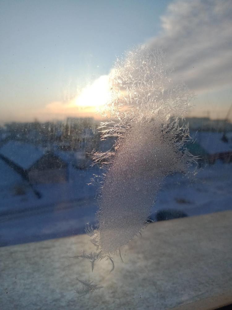 Photo #5235174