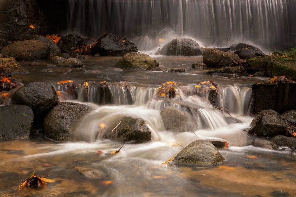 Photograph by Kasia Ucińska