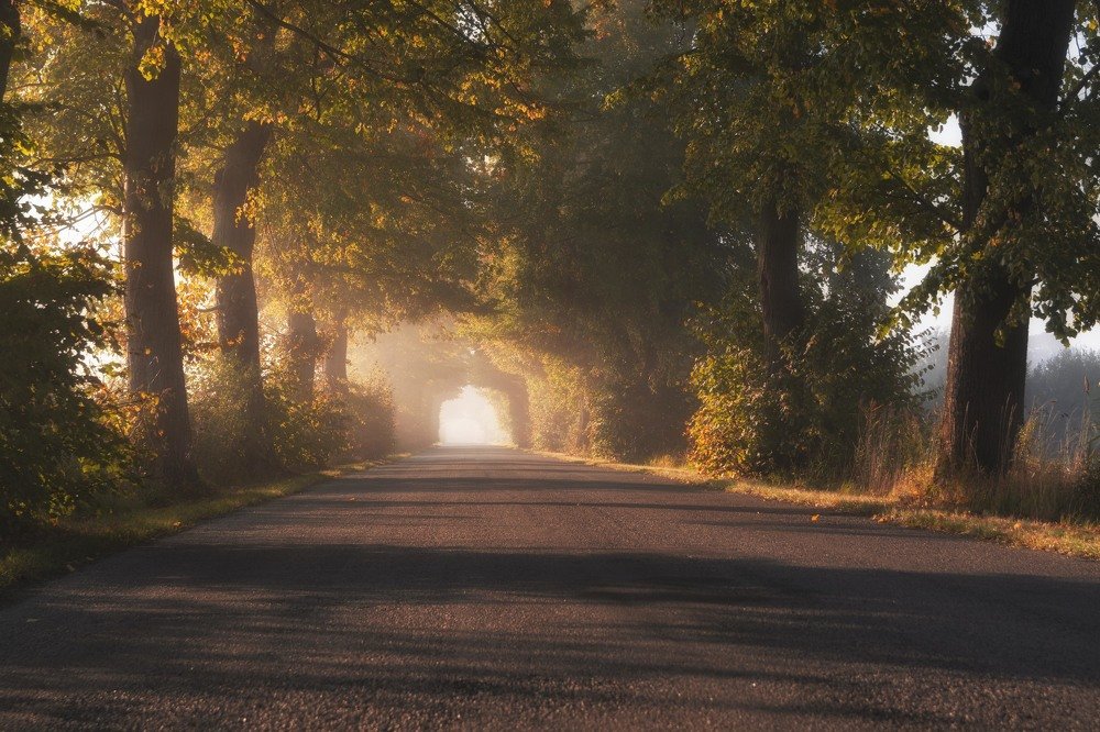 Photograph by Kasia Ucińska