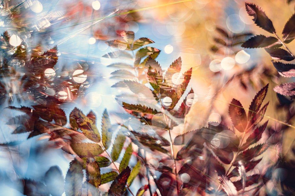 Photograph by Sylwia Grabinska