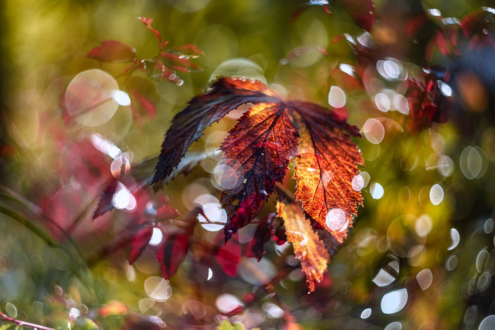 Photograph by Sylwia Grabinska