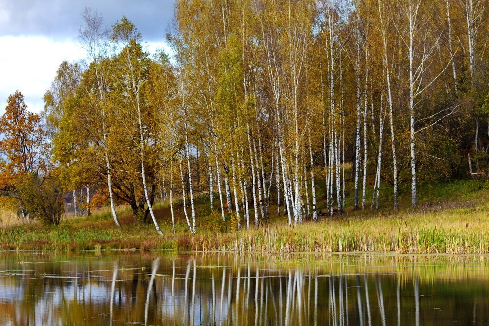 Photograph by Константин Лагоденко