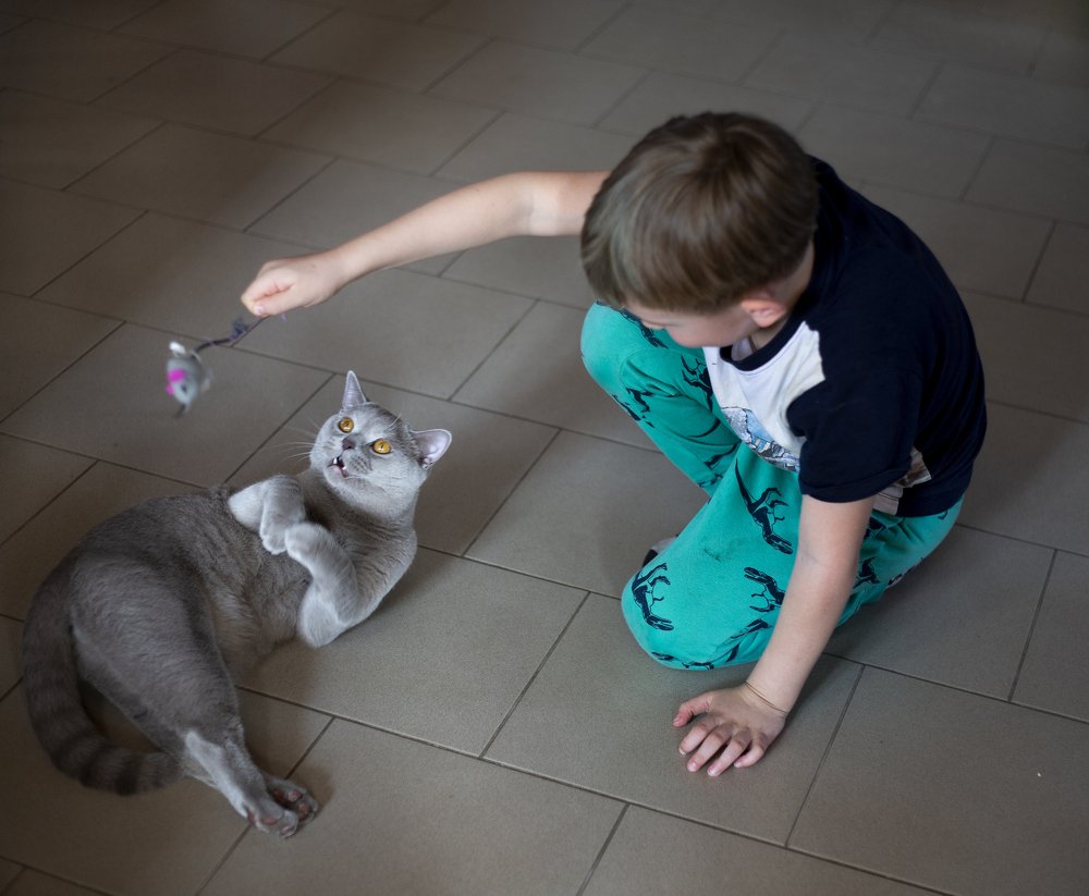 Photograph by Светлана Ионова