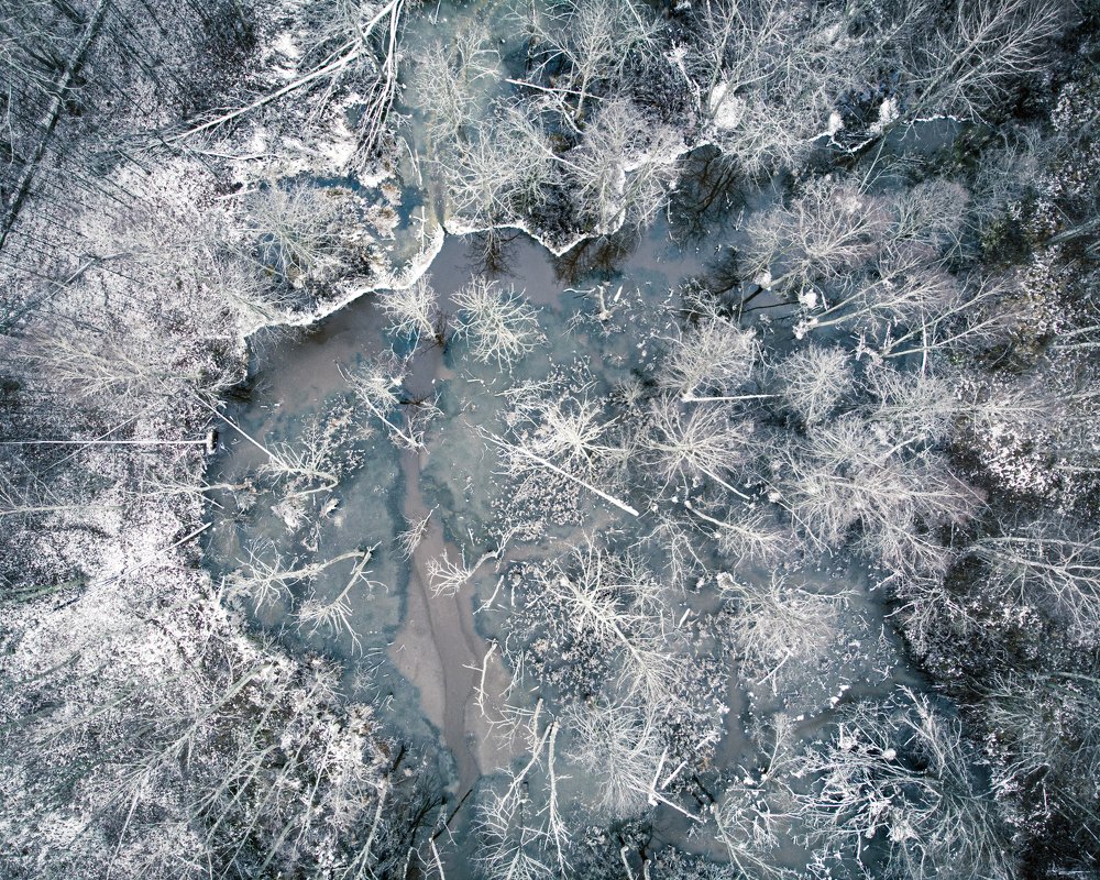 Photograph by Алексей Акулин