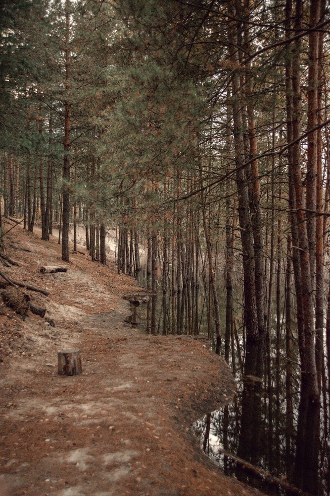 Photograph by Светлана Гришина