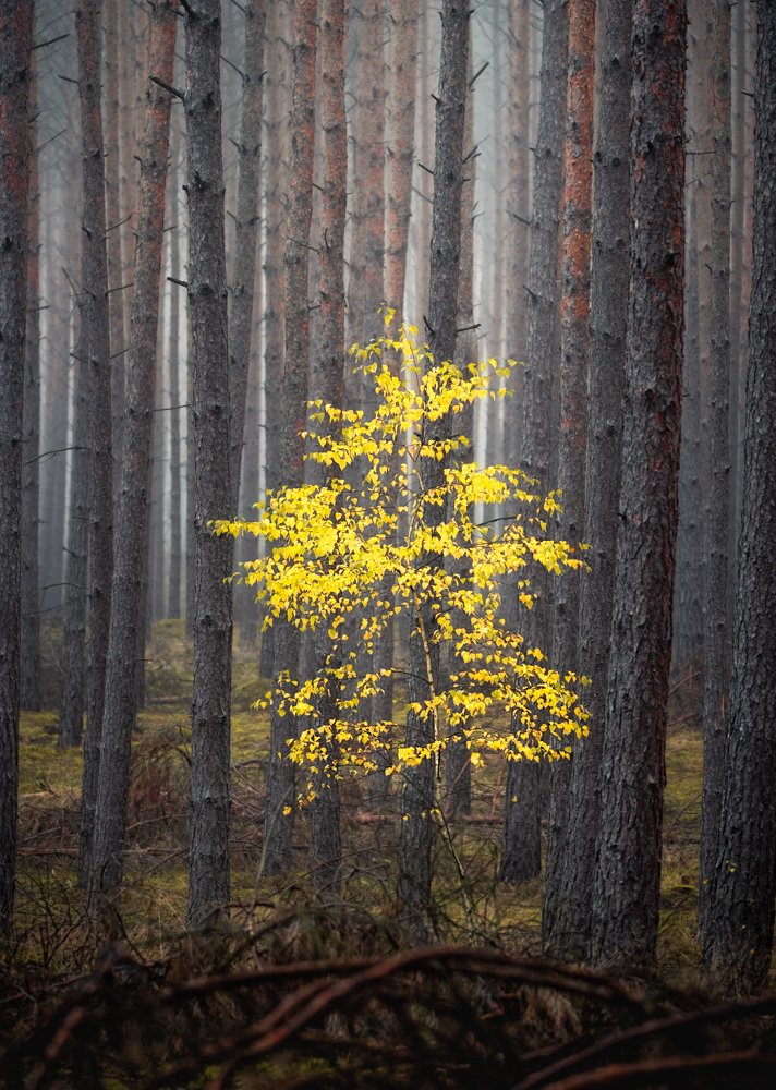 Photograph by Lukasz Maliszewski