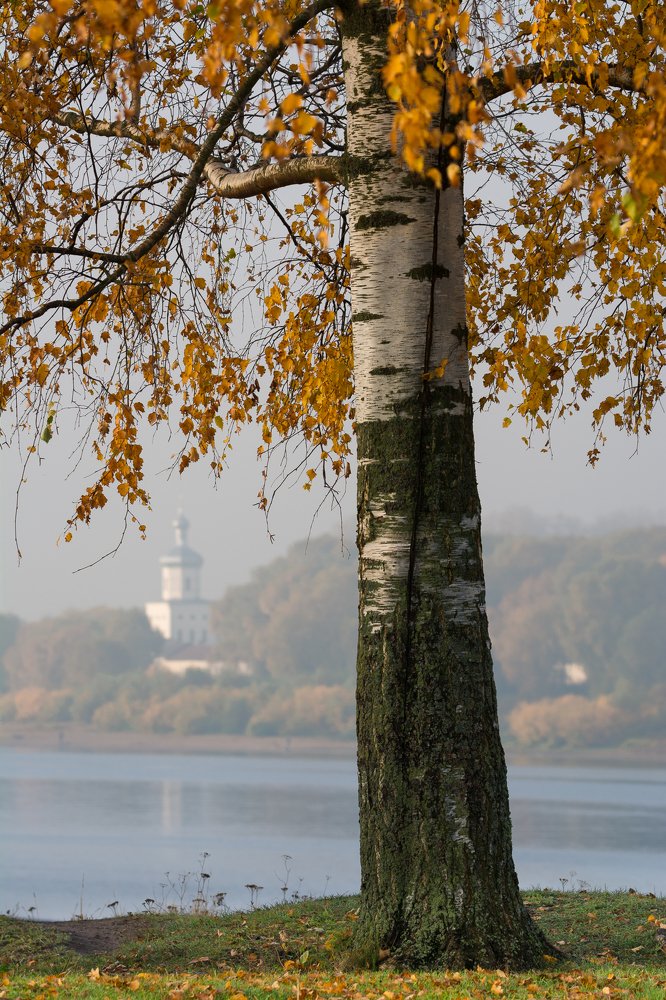 Photograph by Роман Фабричный