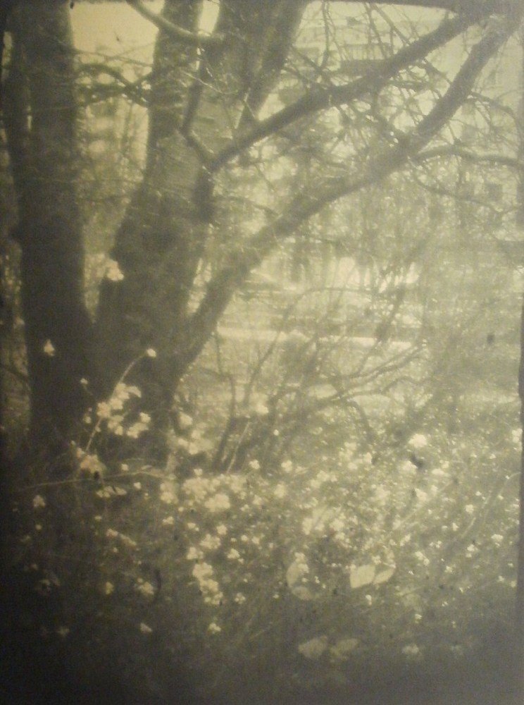 Photograph by Irina Mihailovskaya