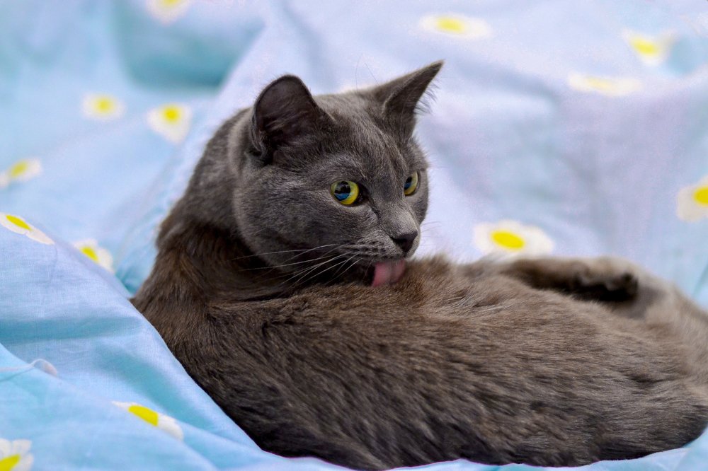 Photograph by Алексей Трубин