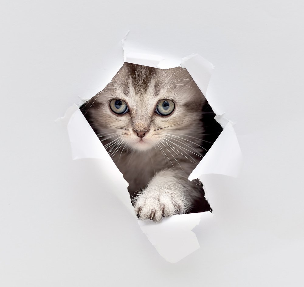 Photograph by Galina Samoylovich