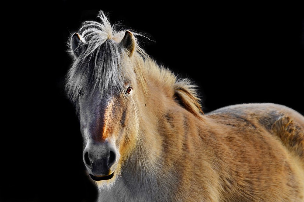 Фотография автора Anne Moginier