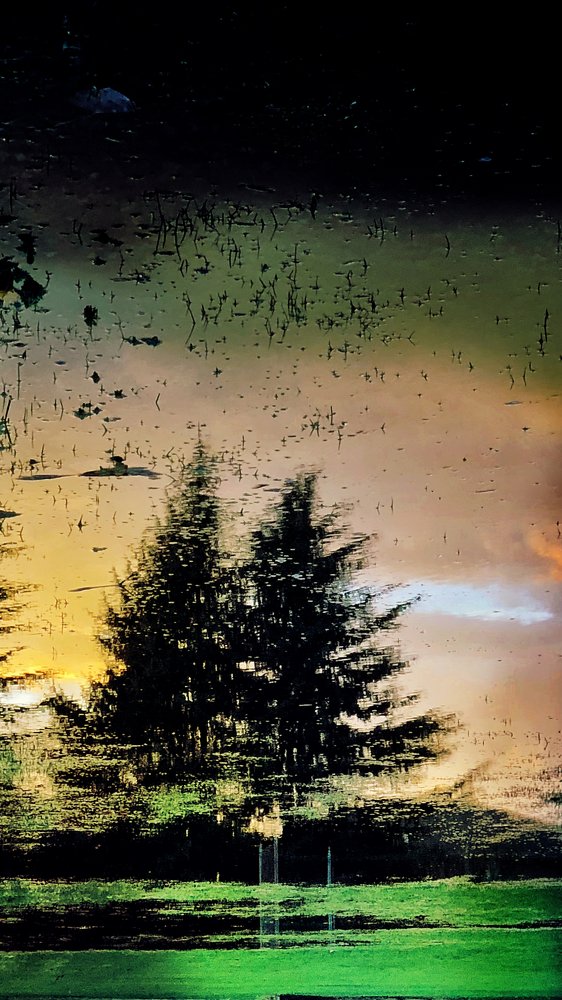 Photograph by maziar dashtbazi