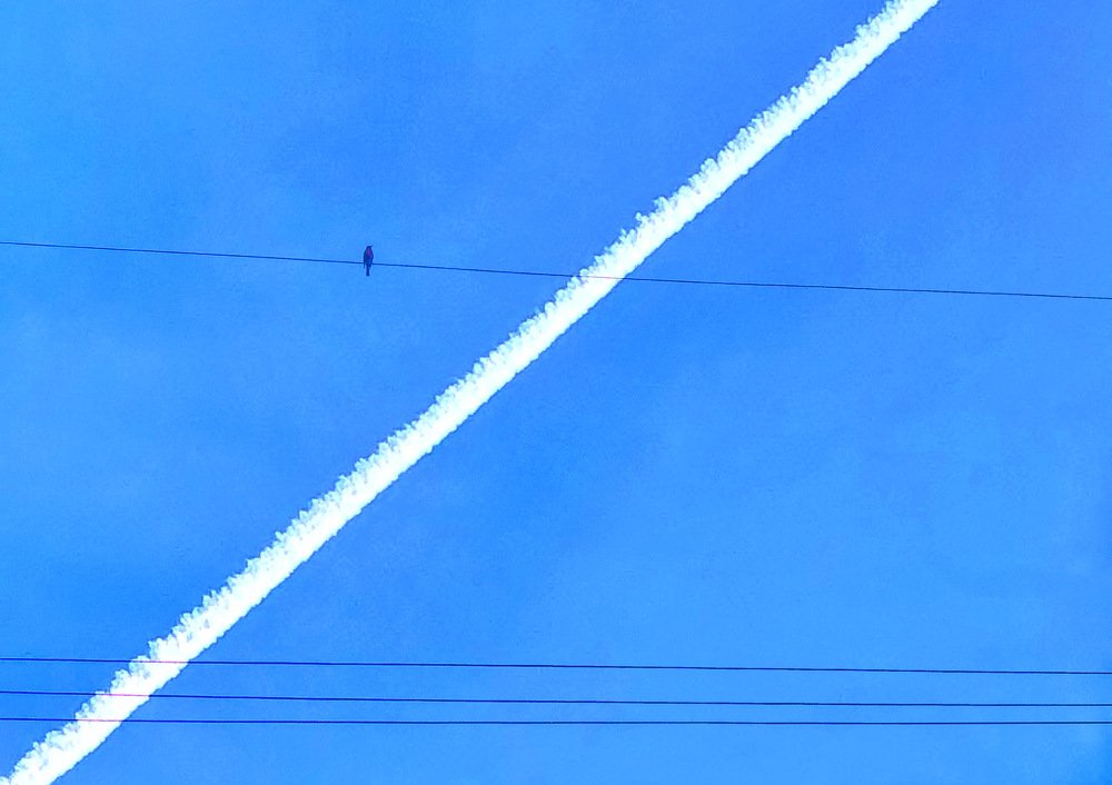 Photograph by maziar dashtbazi