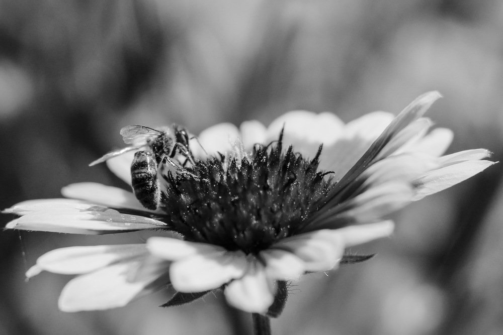 Фотография автора OKSANA