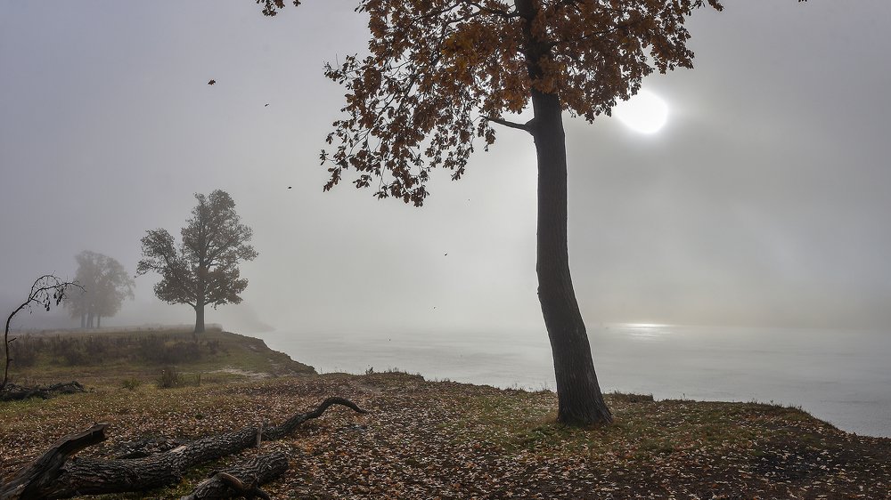 Photograph by Юрий Клековкин