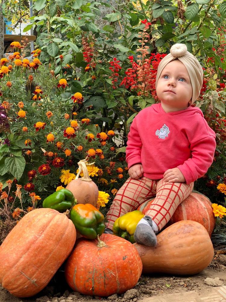 Photograph by Александр Шестаков