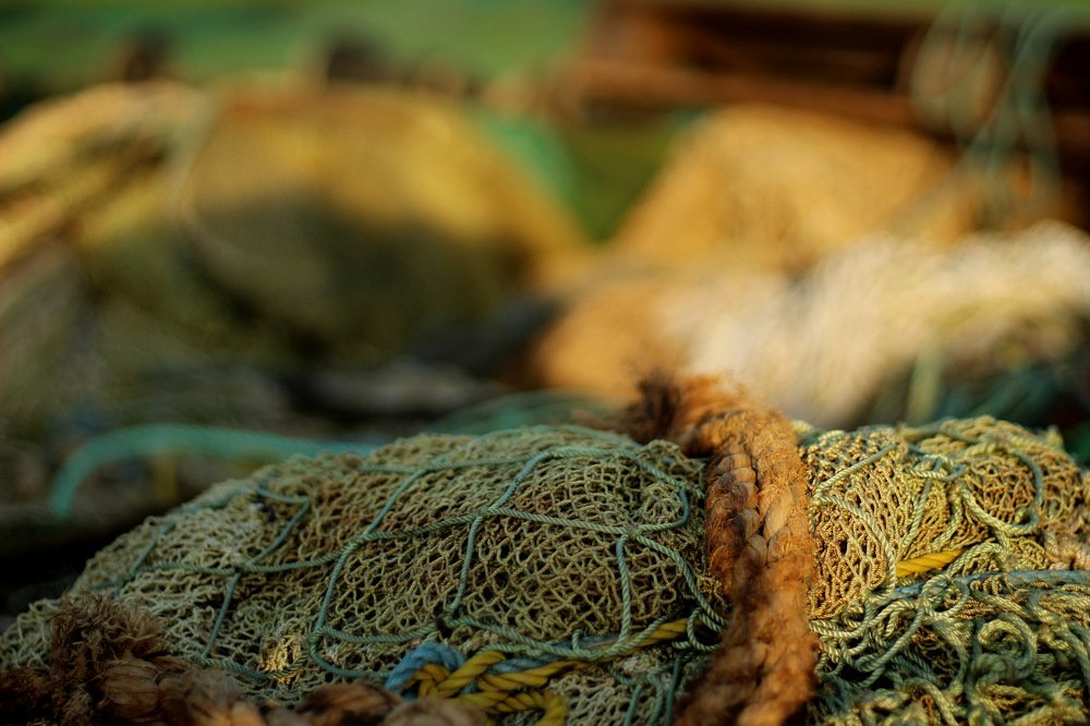 Фотография автора OKSANA