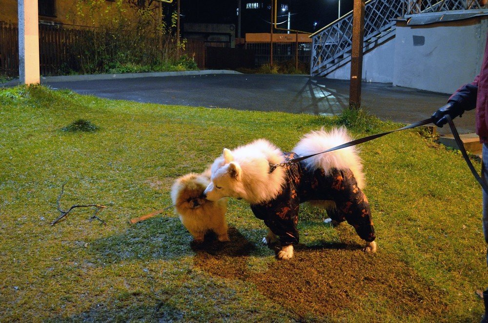 Photograph by Сергей Клапишевский