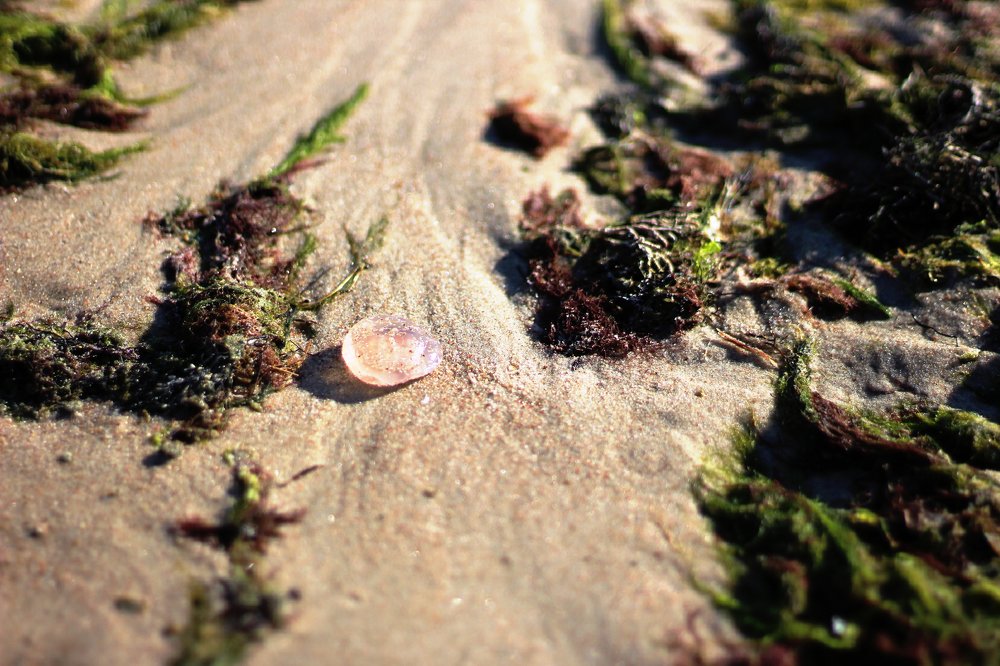 Фотография автора OKSANA