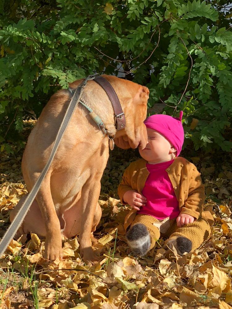 Photograph by Александр Шестаков