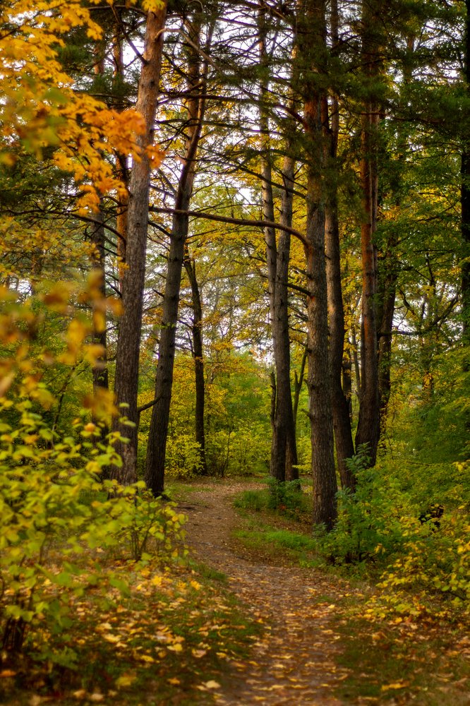 Photograph by Константин Чимбай