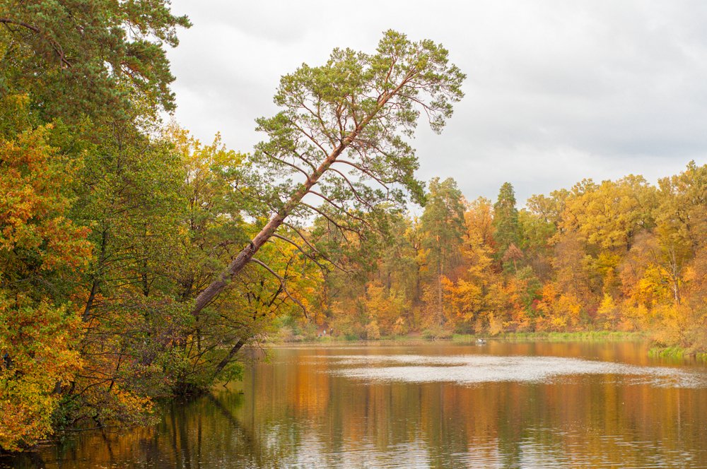 Photograph by Константин Чимбай