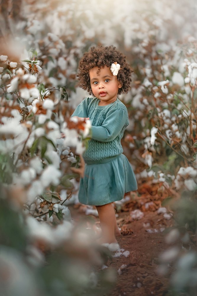 Photograph by yarden kaplan