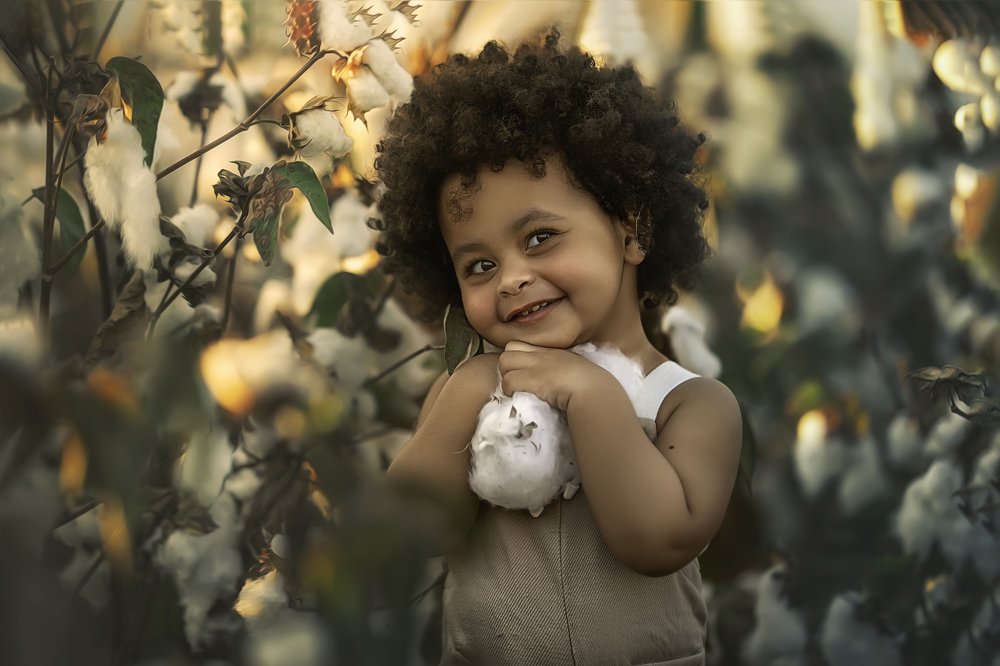 Photograph by yarden kaplan