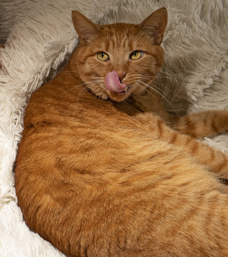 Photograph by Владислав Шигера