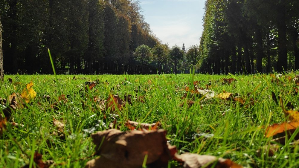 Photograph by Karine Galustova