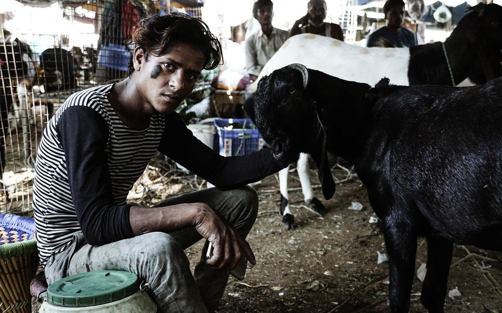 Photograph by Lijo Jose