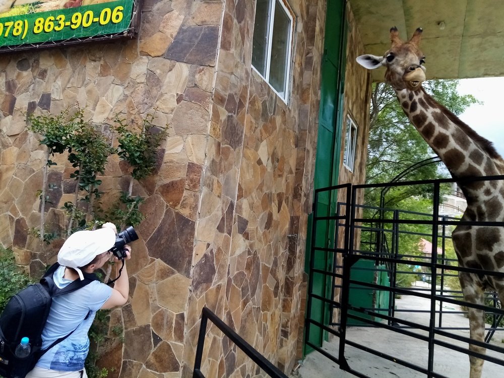Photo #5235903