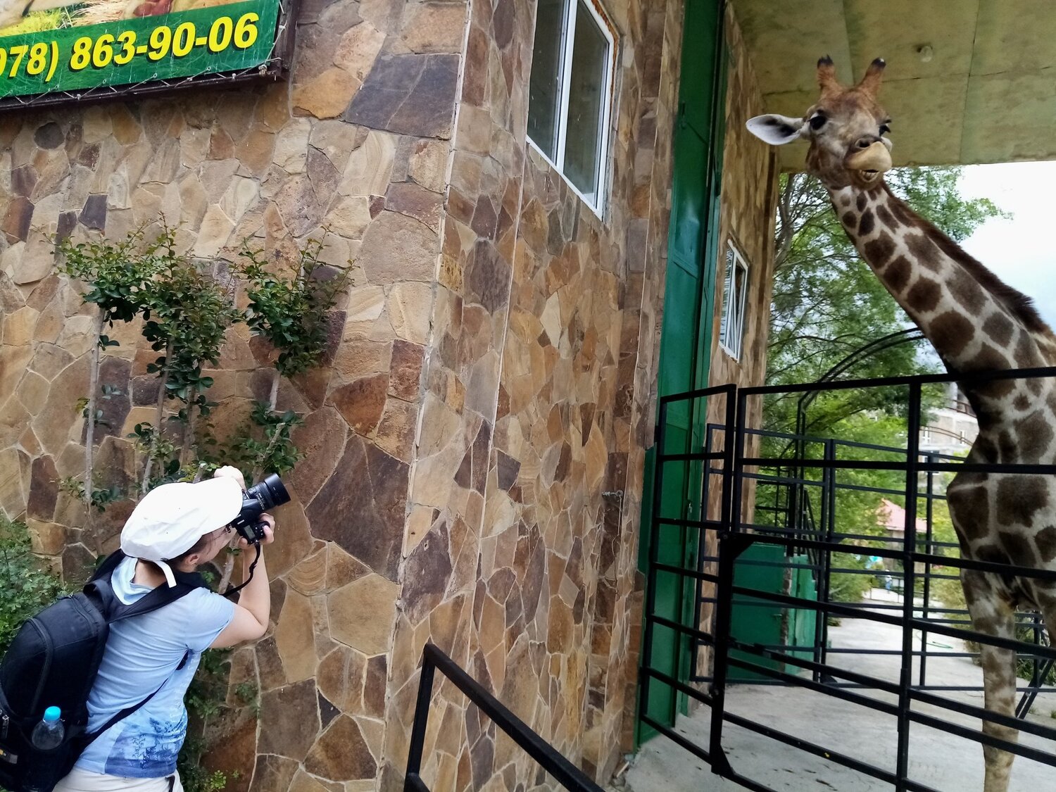 Photo #5235903