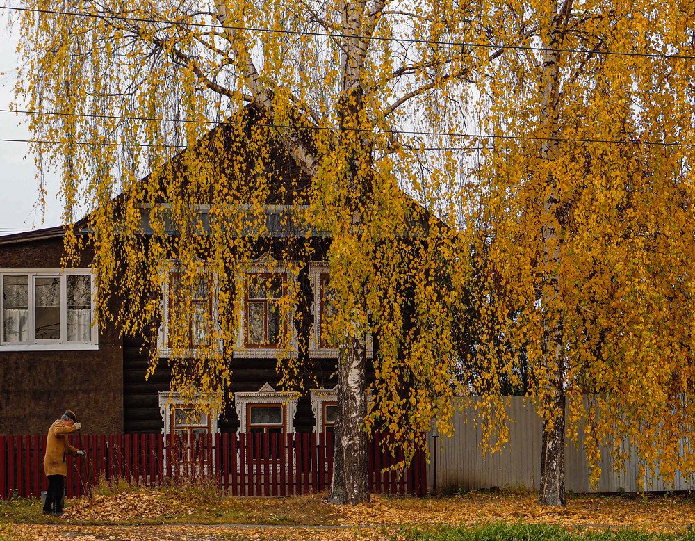 Photograph by Лариса Лофицкая