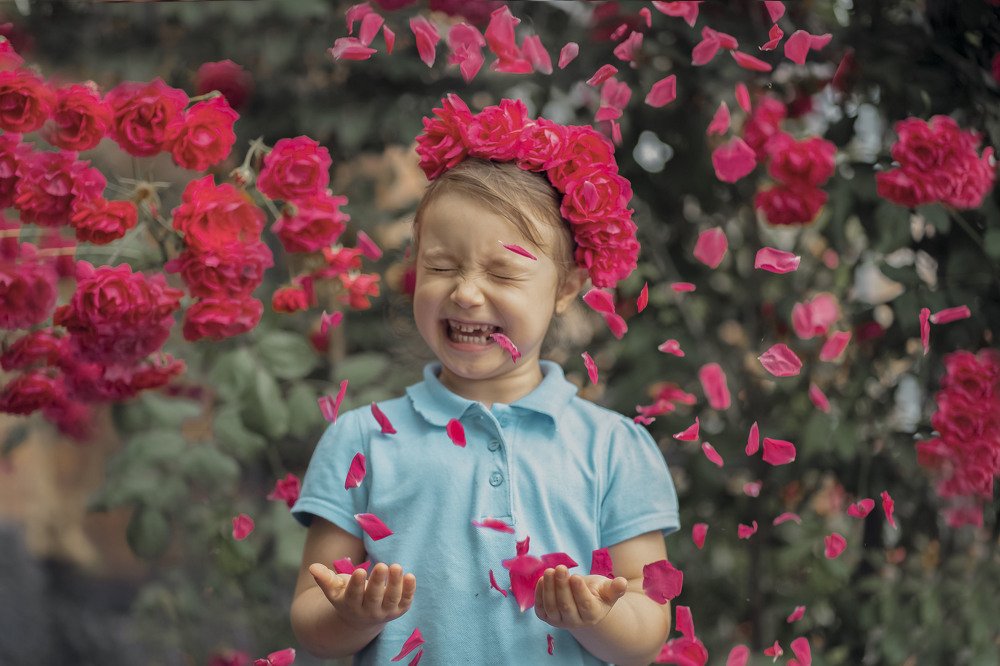 Фотография автора Анна Ватансевер