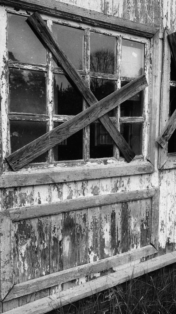 Photograph by Елена Хорошильцева