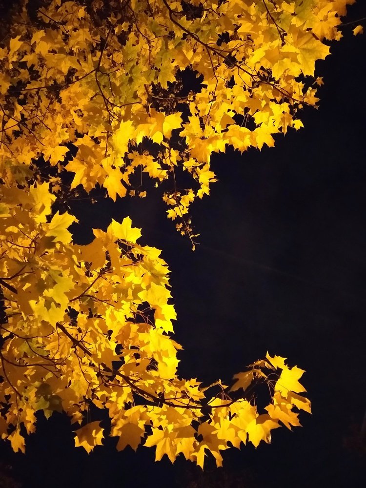 Photograph by Людмила М