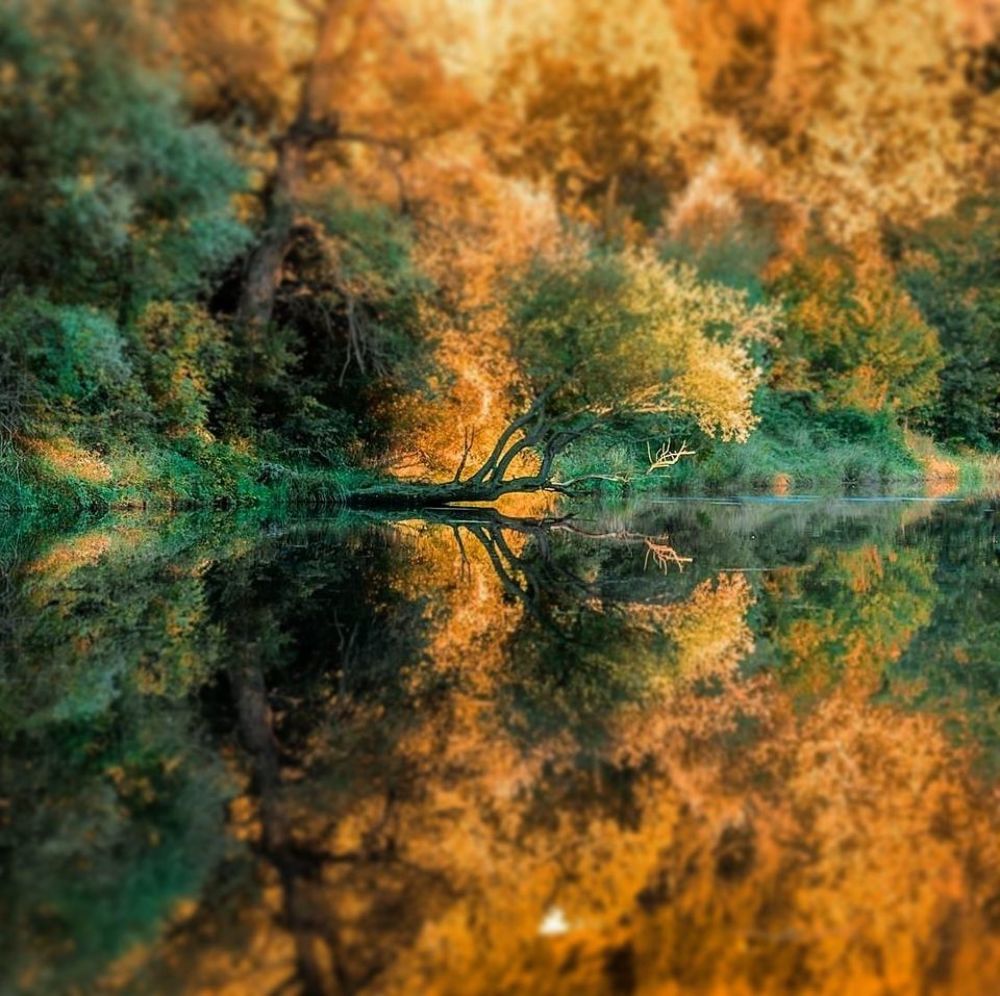 Between Reality and Fairy Tales