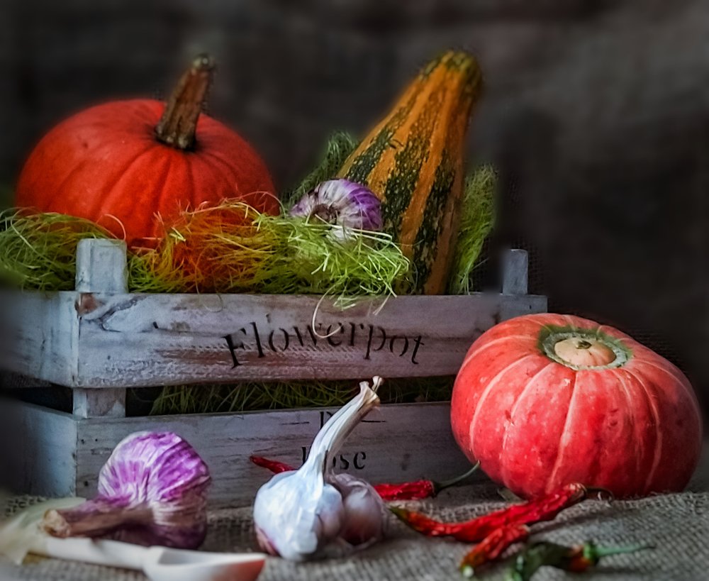 Photograph by Елена Бохолдина