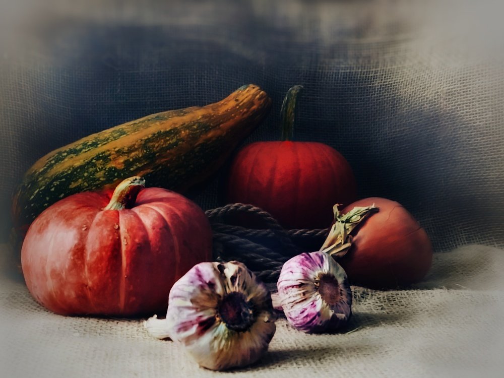 Photograph by Елена Бохолдина