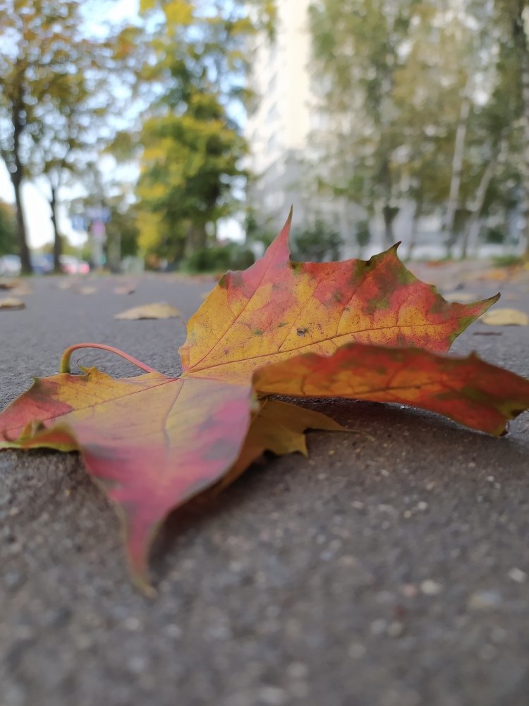 Фотография автора Светлана