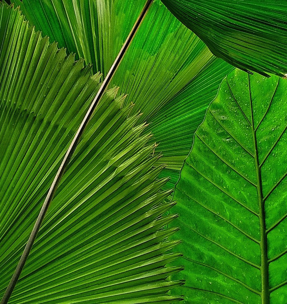 Photograph by Людмила М