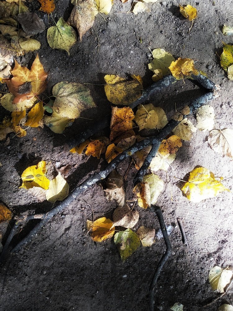 Photograph by Людмила М